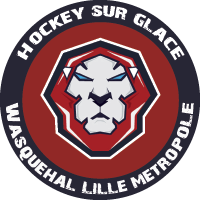 logo Lions de Wasquehal
